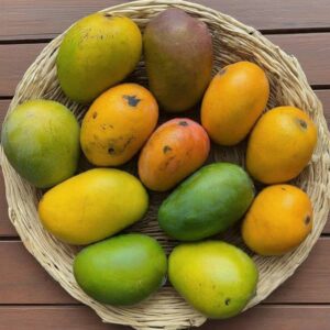 All kind of Mangoes supplier in dubai