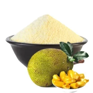 Jack fruit powder supplier in dubai