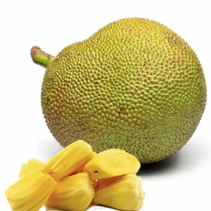 Jack Fruit Supplier in Dubai